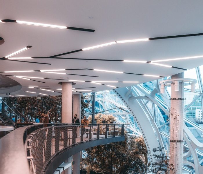 pexels-zichuan-han-3681162